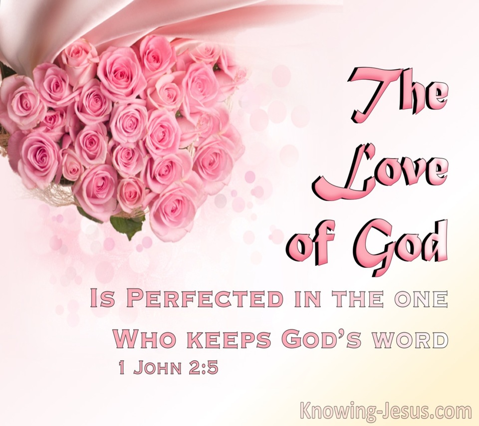 1 John 2:5 The Love Of God Is Perfected (pink)